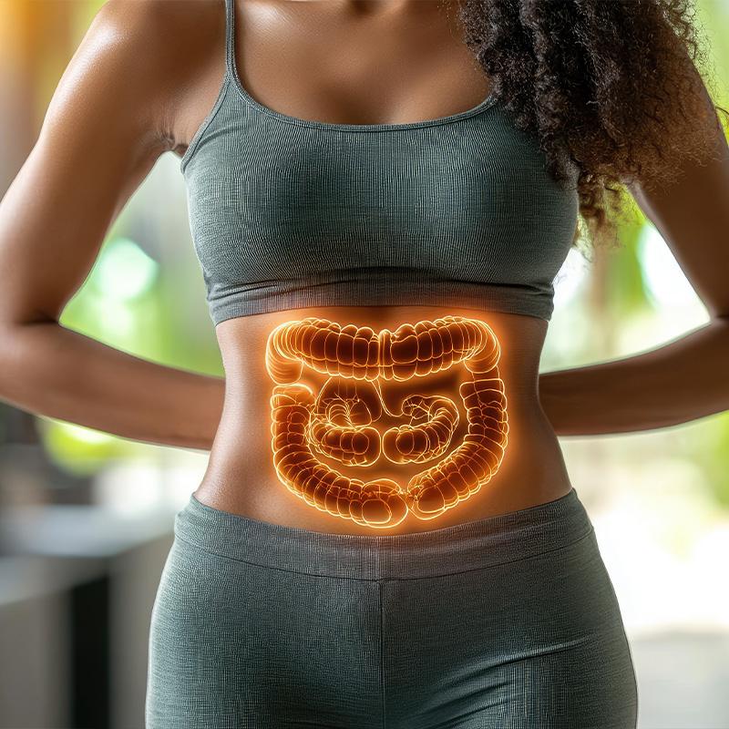 The Gut Feeling You Should Stop Ignoring Why everything begins – and ends – in your digestive system
