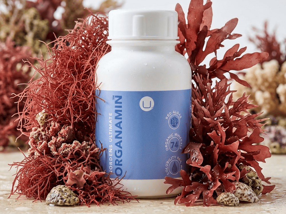 The Organic Lifestyle – What It Really Means